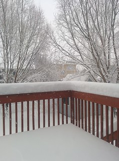 Snow - Getting a little bit of snow...