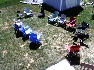 The morning after a party... the lawn was much more trashed than this