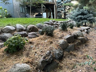 I dunno why it took me so long to plant something here…