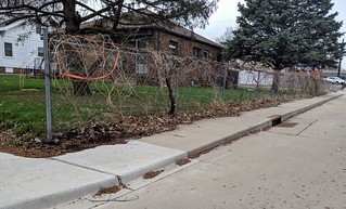 Home Ideas - A crazy grapevine fence that I liked in the summer is not quite as nice in the early spring