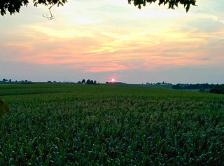 Sunset - Country sunset