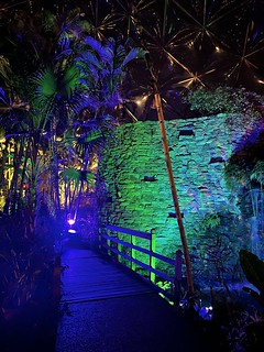 Botanical garden at night