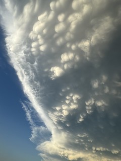 Mammatus