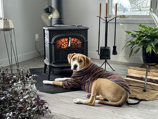 frame - As close as he can get