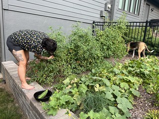 Garden - Kari and Durby harvest veggies