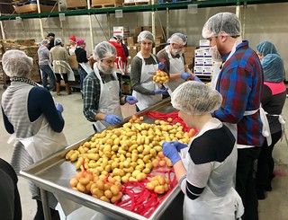 Packing up produce at the Chicago Food Bank