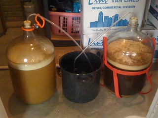 Homebrew - Fermentation!