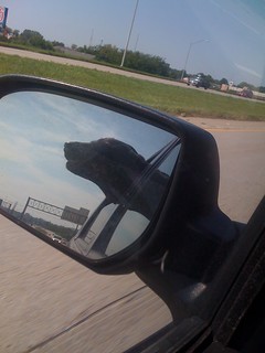 Ninja - I have a few versions of this photo... but it always cracks me up.