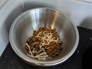 While the egg is microwaving, give some cheese to the dog