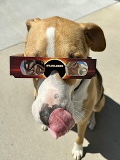 Good boy wishes we would’ve traveled to see the totality.