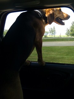 Gettin a little brave