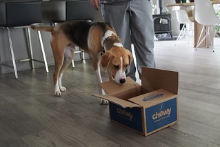 Durby is unsure about his first package