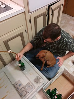 Homebrew - Bottlin beer