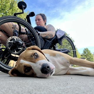 Biking - Durby likes to come hang after bike bike rides