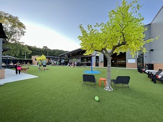 Paws & Pints - Checkin out paws & pints