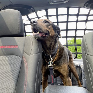 Benny Brooks - Butt Face