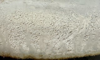 Homebrew - Bout to tap this funky ass beer