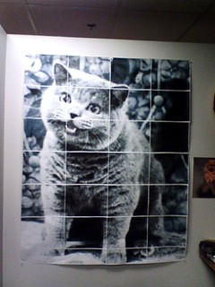 A giant Rasterbator Cat