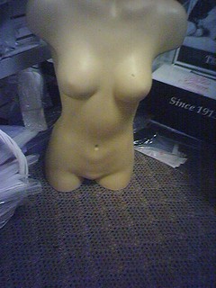 Mannequin torso