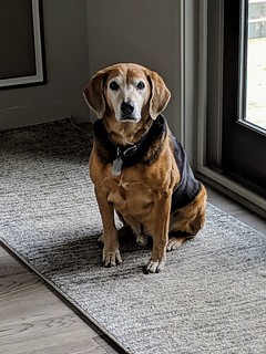 Look at this old man