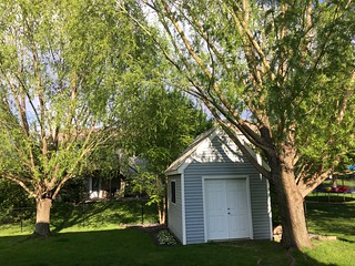 1403 - Built that shed. Planted those trees.