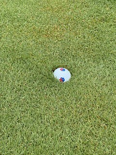 Golf - It’s a little damp out here