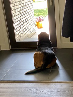 Covid-19 - Missing Kari