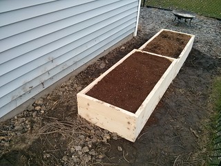 Hops and tomatoes, coming soon