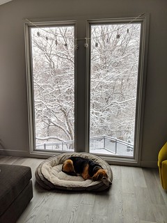 Winter has started. We chillin