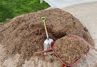 5 cubic yards of mulch to move