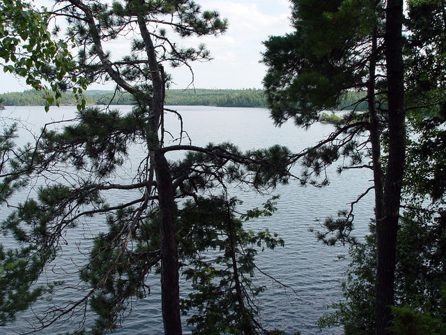 The view from where i pooped