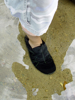 Standing in nearly knee deep water