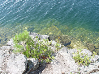 The swimming hole at the 2nd campsite we found