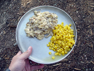 Beef Stroganoff and Corn