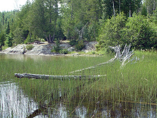 Entering South Arm Knife Lake