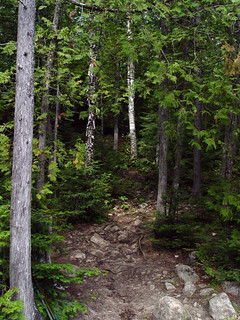 The Ottertrack - Ester Lake Portage