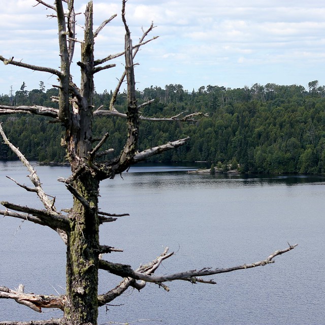 Our campsite from the first point on Winchell Lake