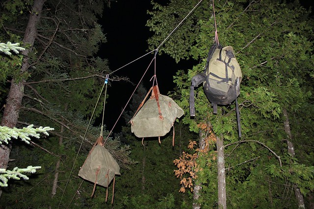 Food packs on bear lines