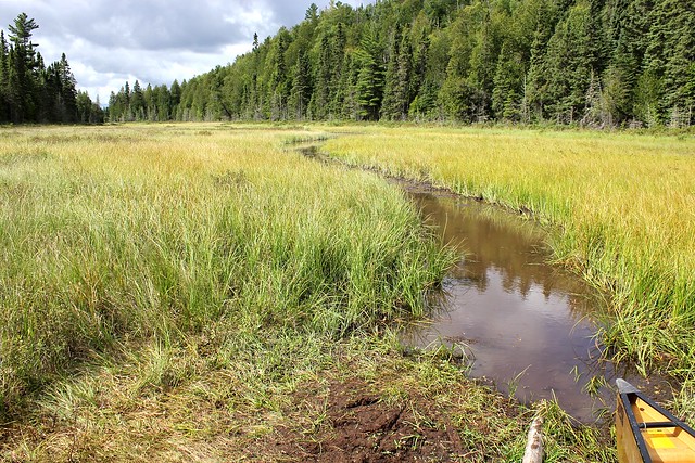As far as we could paddle before the long portage