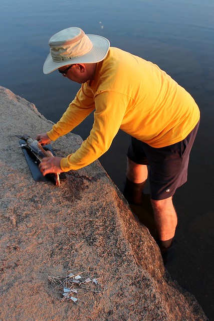 Filleting up some fish.