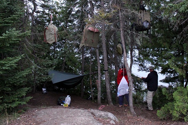 These food packs might be a bit low...