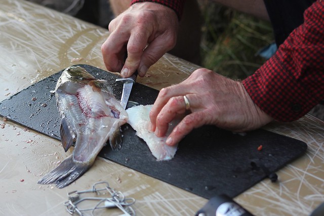 Paul cutting some filets