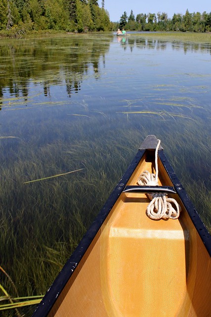 Paddling across some crystal clear, grassy water