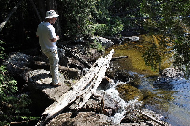 Small waterfall out of Winchell