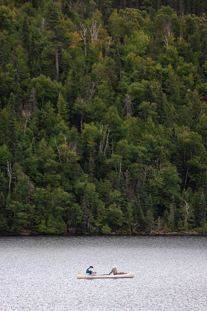 Dwarfed by wilderness