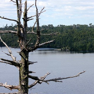 Our campsite from the first point on Winchell Lake