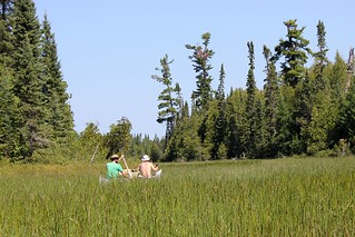 Chris Omtvedt - Paddling through some grassy water