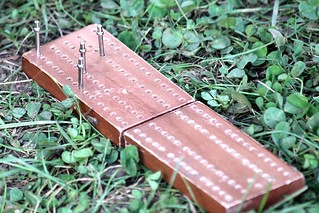 Playing cribbage