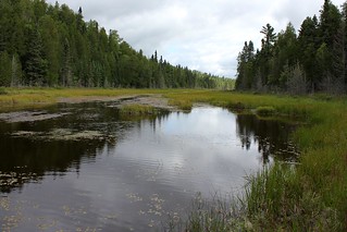 Debating whether to padle this shallow, grassy lake before the long portage to Wanihigen Lake