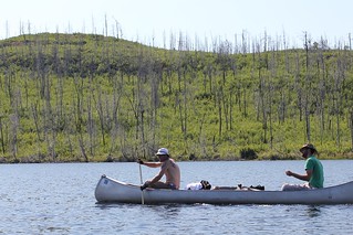 Chris Omtvedt - Paddling past some new growth after a recent fire